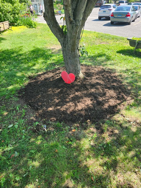 Muclhing & Weeding