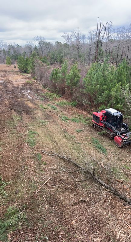 Forestry Mulching