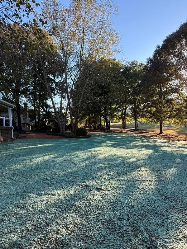 Hydroseeding