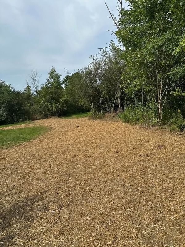 Grading and Earth Moving