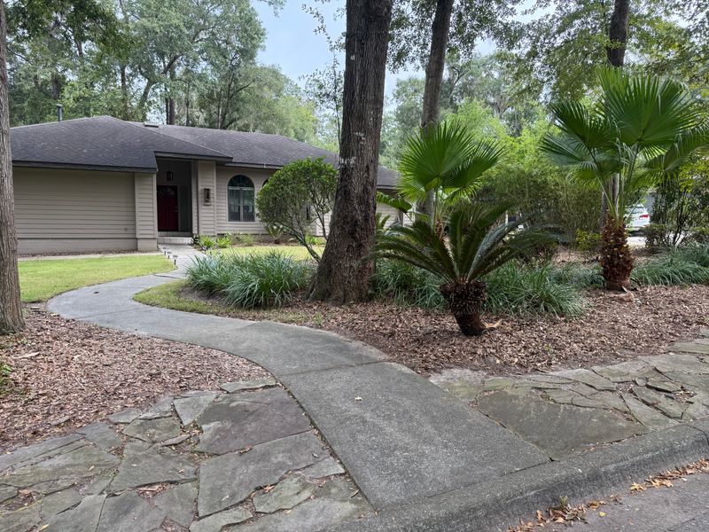 Landscape & Property Cleanup