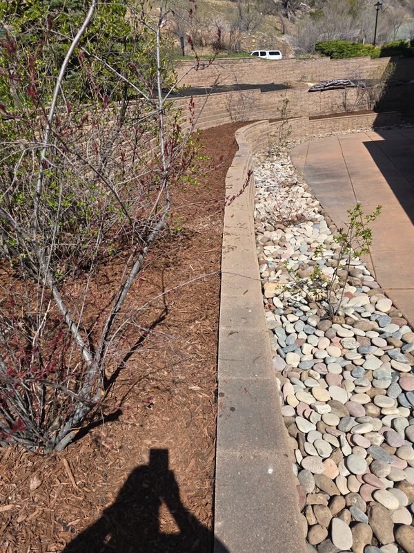 Xeriscaping