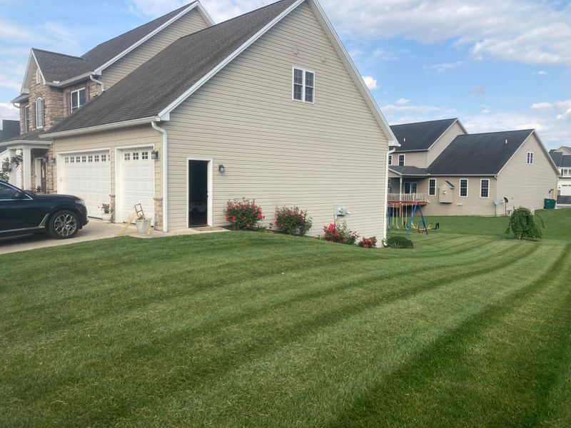 Lawn Maintenance