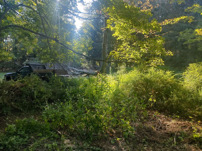 Land Clearing and Site Preparation