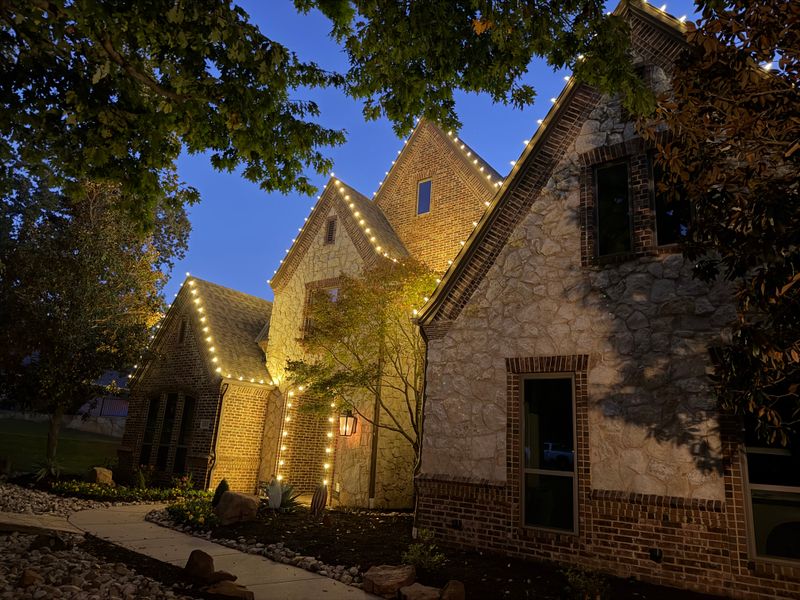 Landscape Lighting