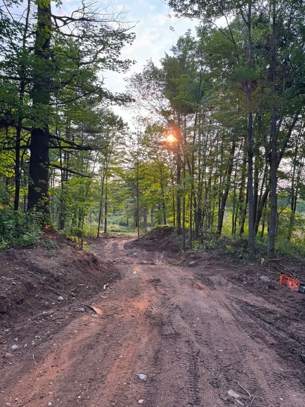 Brush Clearing