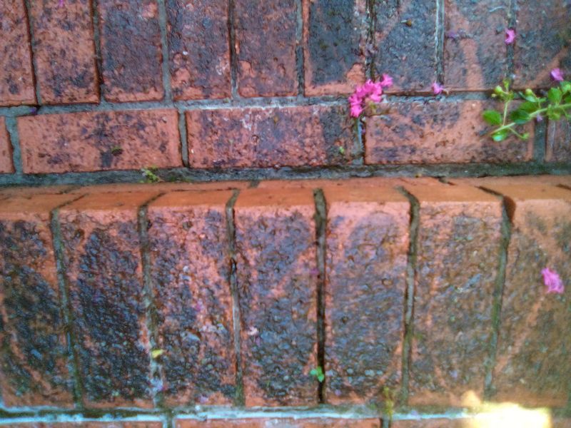 Pressure Washing gallery