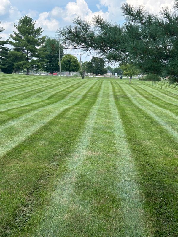 Lawn Care & Maintenance