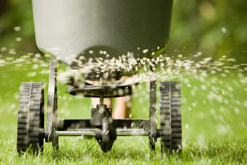 Fertilization