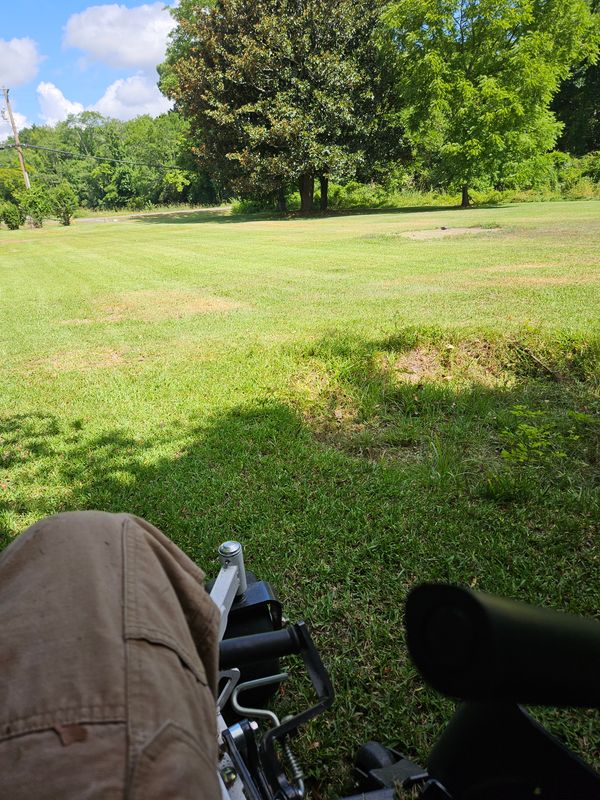 Routine Lawn Maintenance