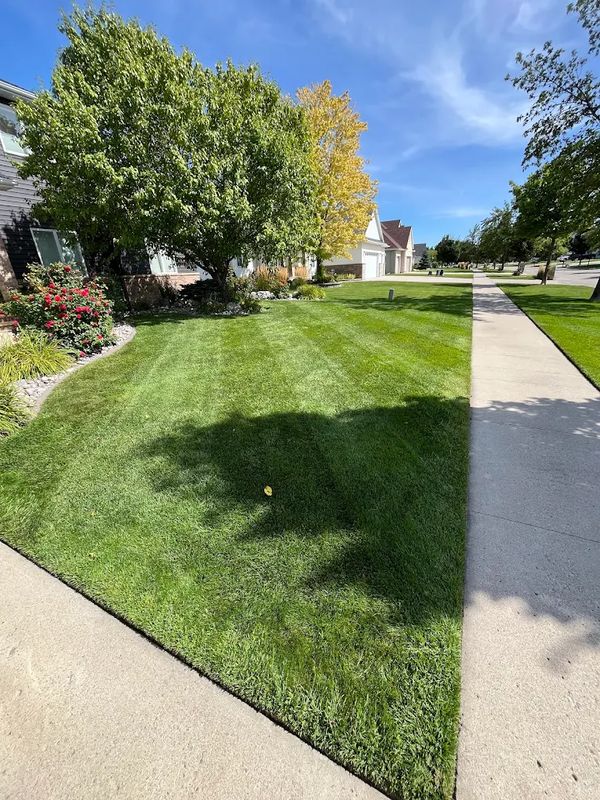 Lawn Maintenance