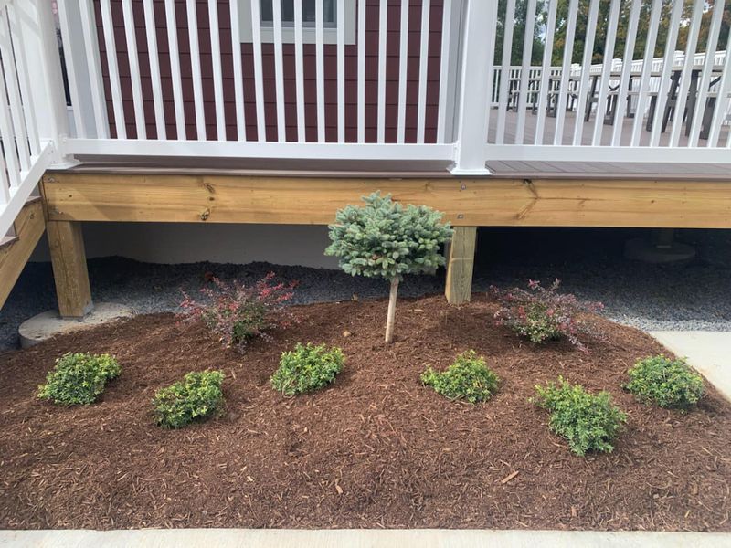 Landscape Design And Installation