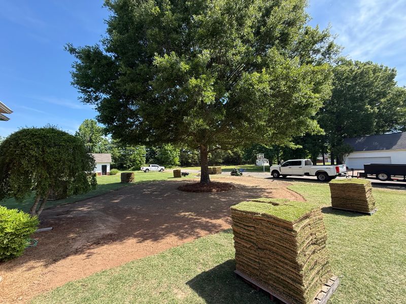 Lawn Maintenance