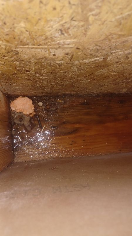 Water Damage Restoration