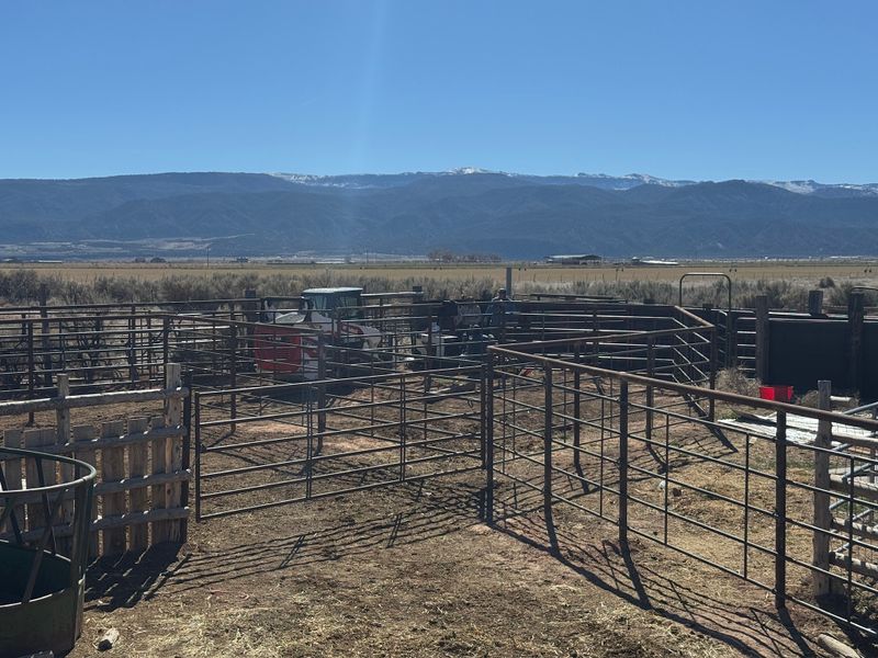 Fence Installation