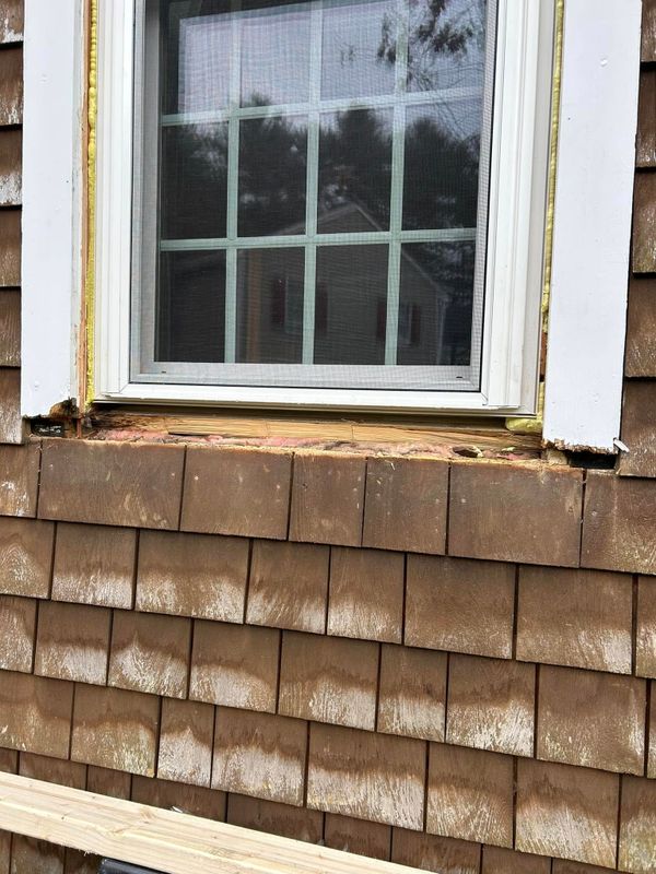Windows and Doors