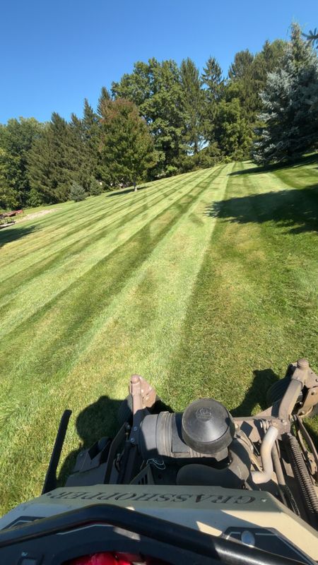 Spring Cleanup