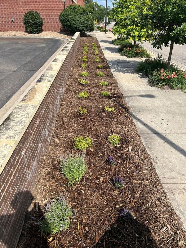 Hardscape Installation
