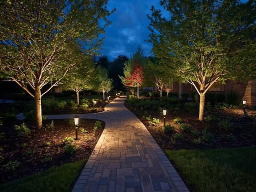 Landscape Lighting