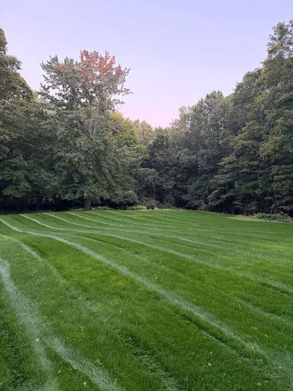 Lawn Maintenance