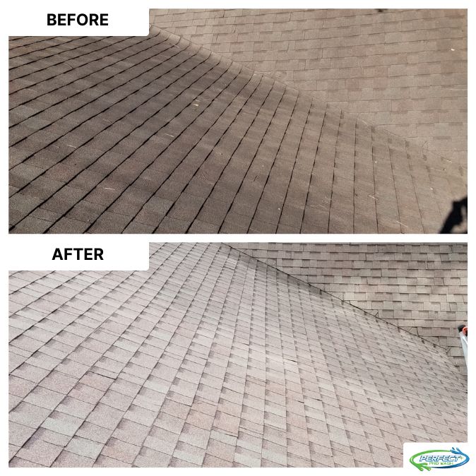 Roof Cleaning