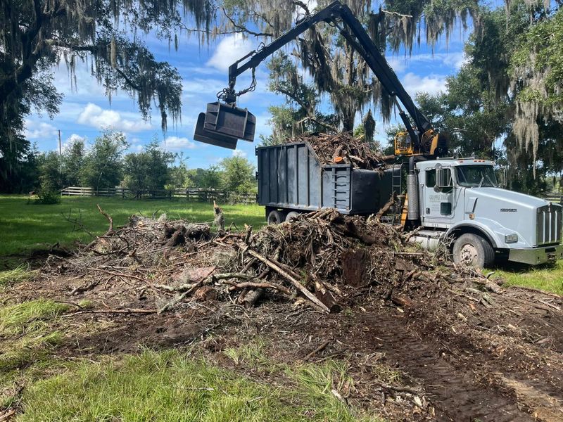 Tree company