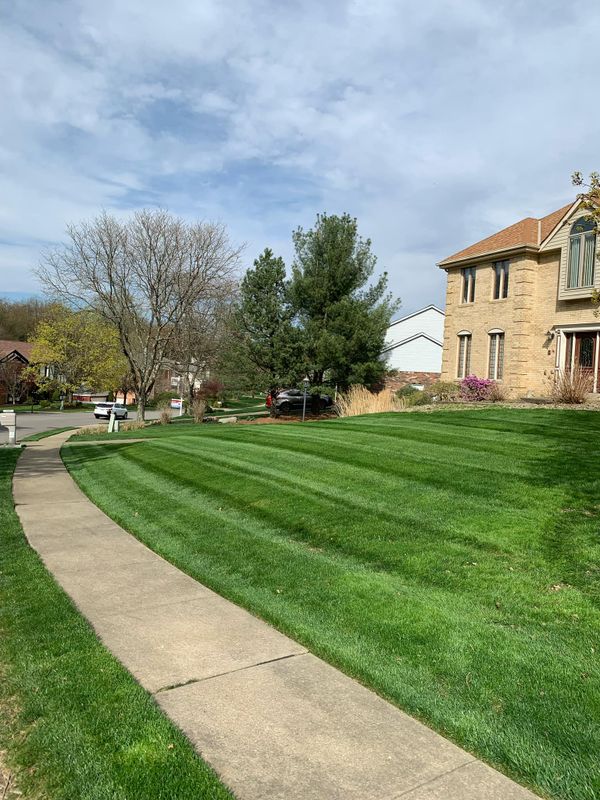 Lawn Care