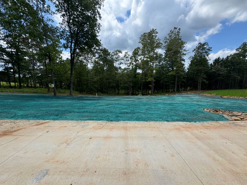 Hydroseeding gallery