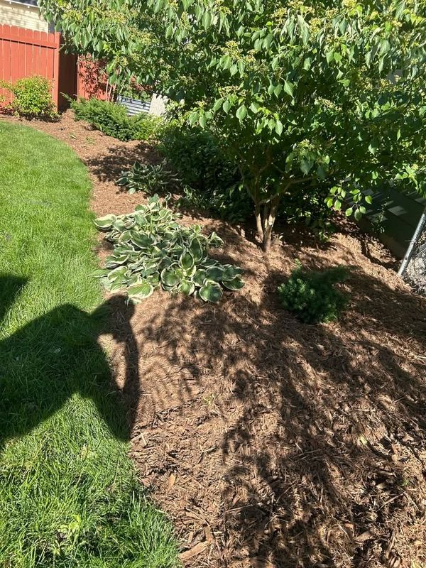 Flower Bed Gallery