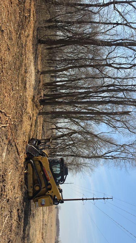 Forestry Mulching