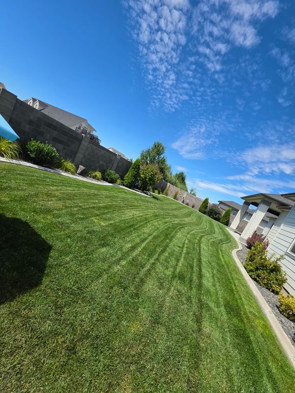 Lawn Mowing