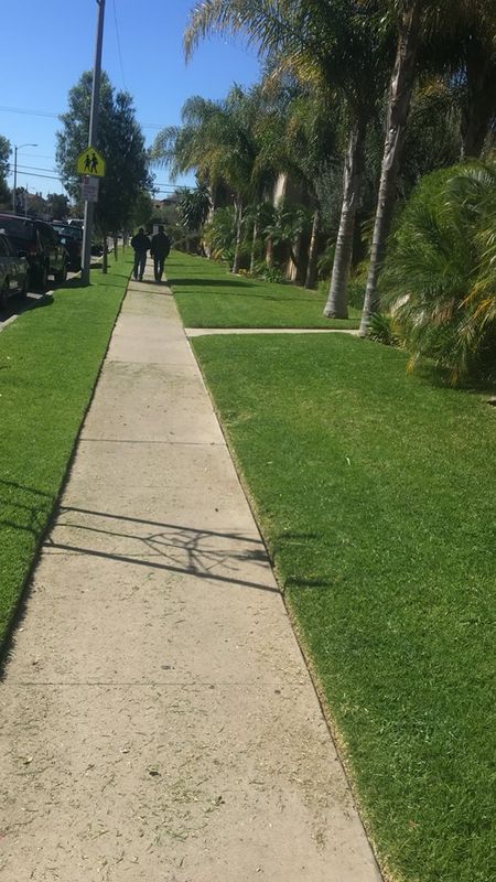 Mowing