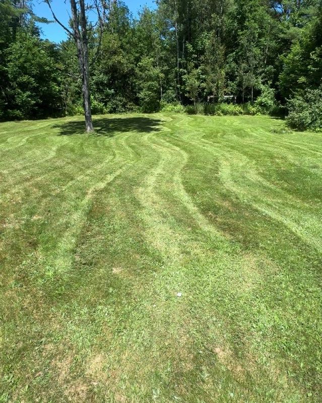 Lawn Maintenance