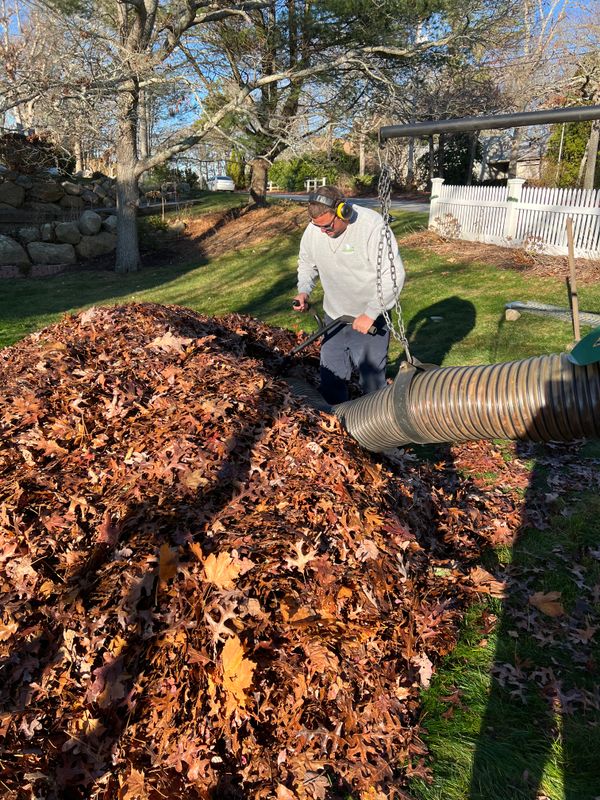 Fall CleanUp