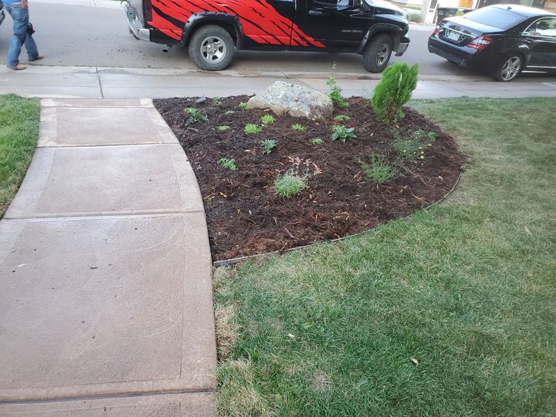 Mulch Installation