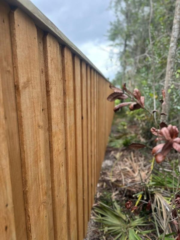 Equestrian Fencing