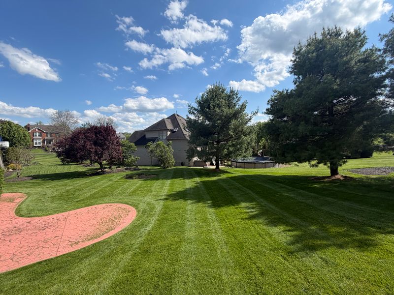 Lawn Care