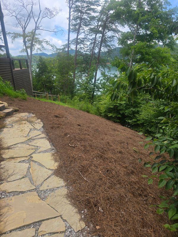 Landscaping