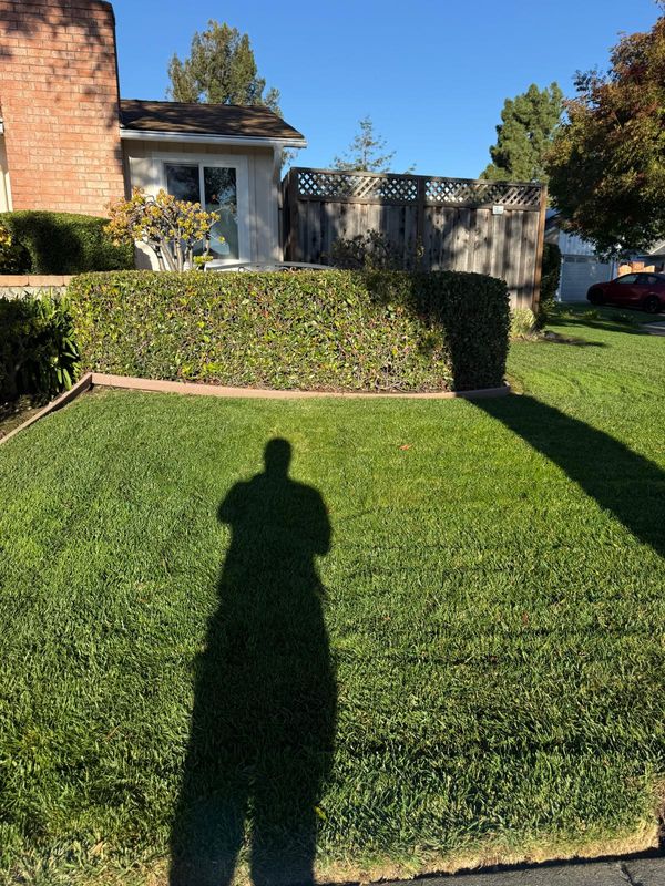 Landscaping