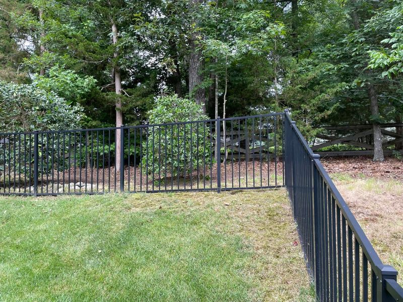 Tree & Shrub Care