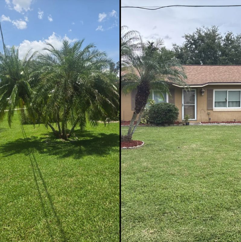 Lawn Care & Maintenance