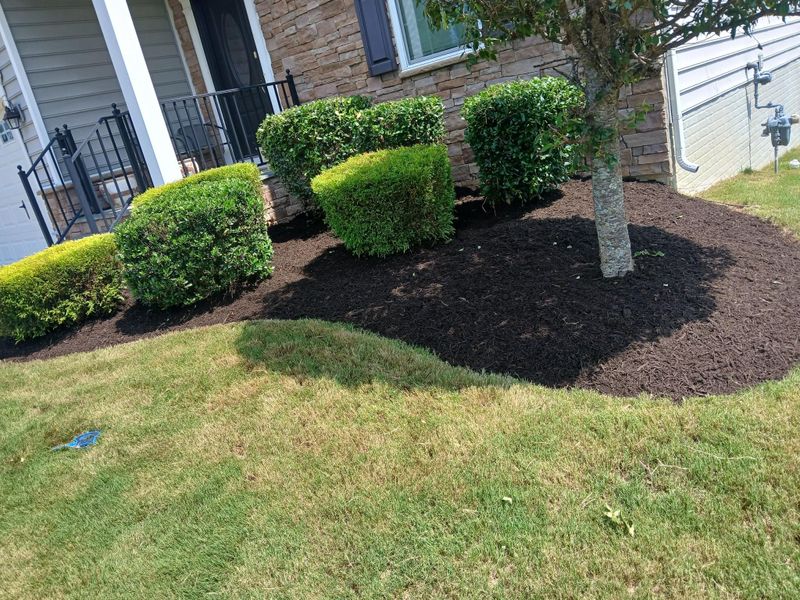 Mulch Installation