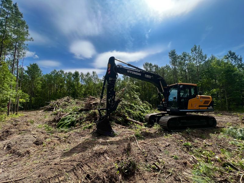 land clearing pics