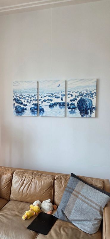 Picture hanging and Art installation