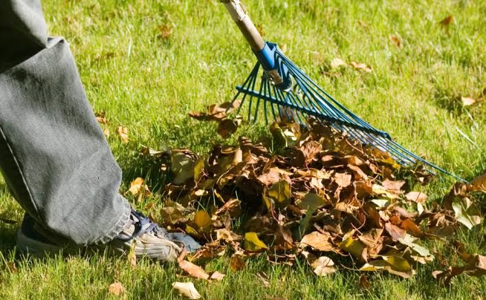 Seasonal Cleanups