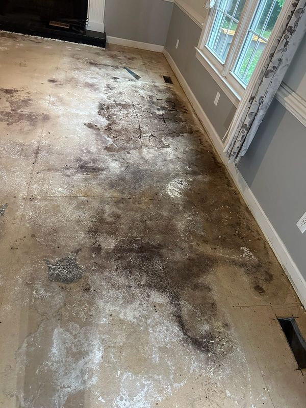 Original Floor Restoration