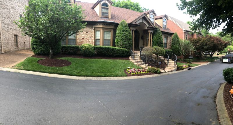 Shrub Trim