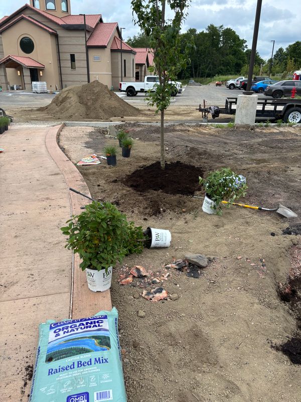 Landscaping
