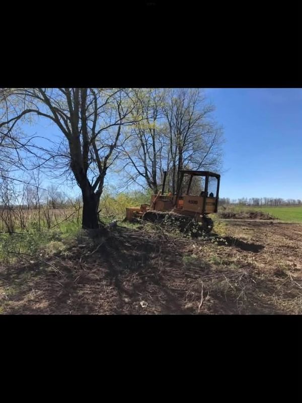 Fence Row Clearing