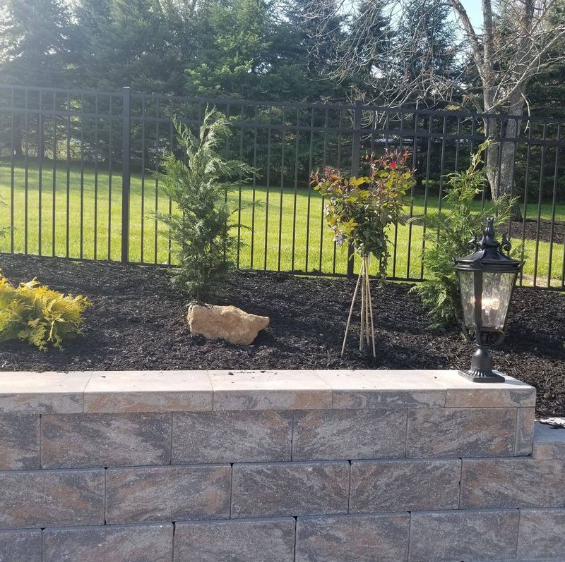 Lawn Maintenance